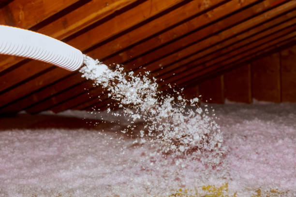 Best Cellulose Insulation in Roseto, PA