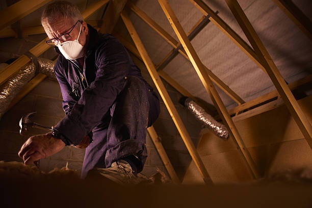 Best Commercial Insulation in Roseto, PA